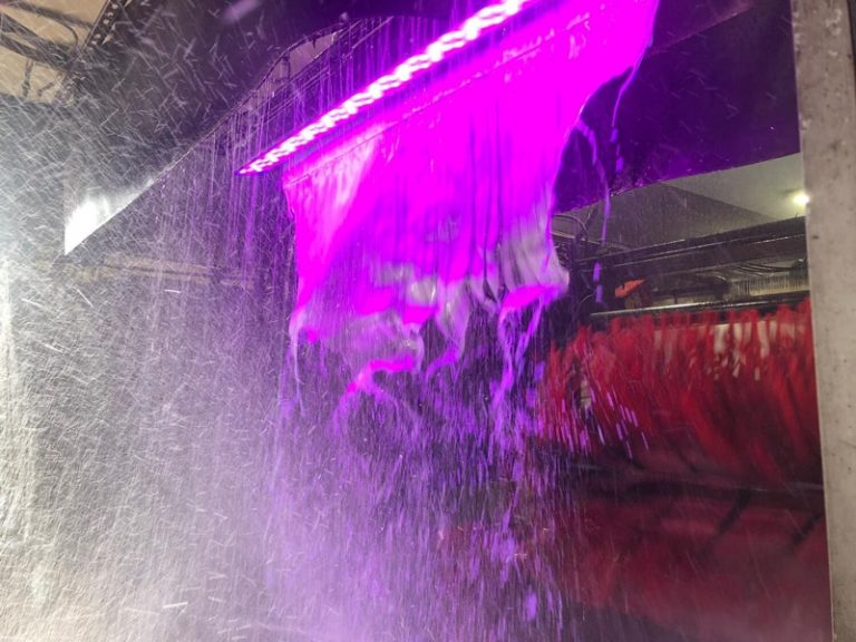 Red Carpet Car Wash Prices 2024